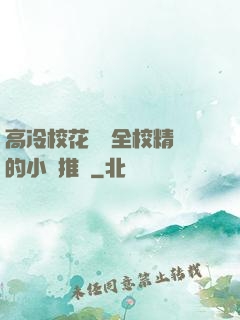 高冷?；S為全校精靈的小說推薦