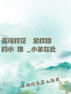 高冷?；S為全校精靈的小說推薦