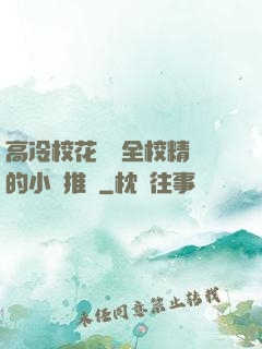 高冷?；S為全校精靈的小說推薦