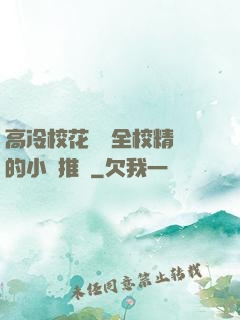 高冷?；S為全校精靈的小說推薦