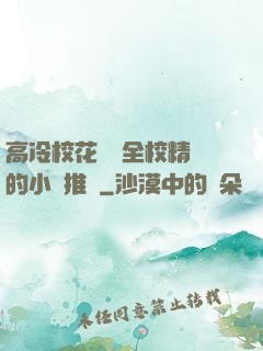 高冷?；S為全校精靈的小說推薦