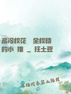 高冷?；S為全校精靈的小說推薦
