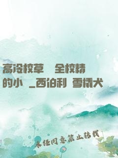 高冷校草淪為全校精靈的小說