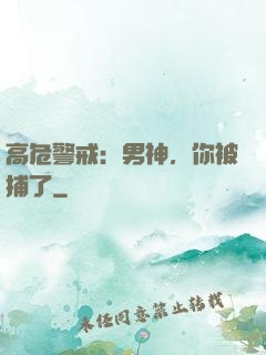 高危警戒：男神，你被捕了
