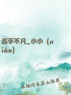 高手不凡