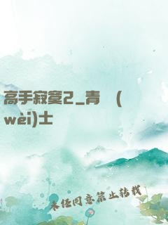 高手寂寞2