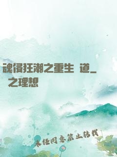 魂侵狂潮之重生問道