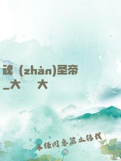 魂戰(zhàn)圣帝