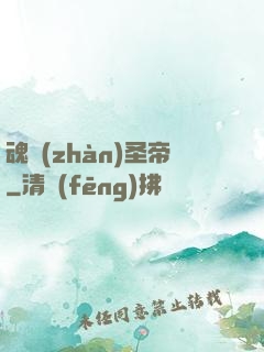 魂戰(zhàn)圣帝