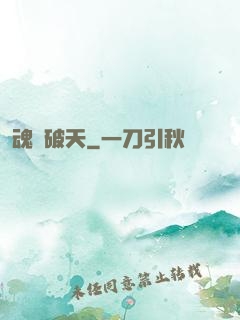 魂極破天