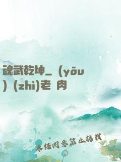 魂武乾坤