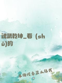 魂武乾坤