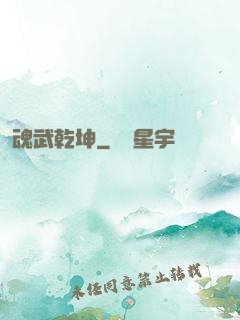 魂武乾坤
