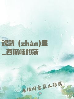 魂武戰(zhàn)皇