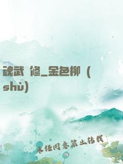 魂武雙修