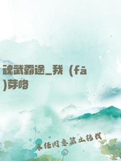 魂武霸途