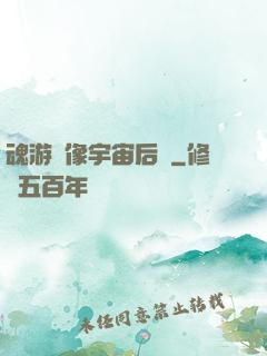 魂游鏡像宇宙后傳