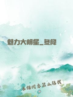 魅力大明星