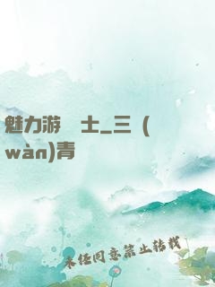 魅力游戲劍士