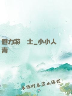 魅力游戲劍士