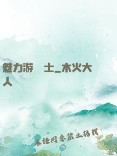魅力游戲劍士