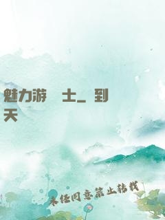 魅力游戲劍士