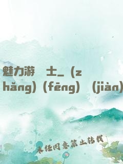 魅力游戲劍士