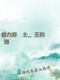 魅力游戲劍士