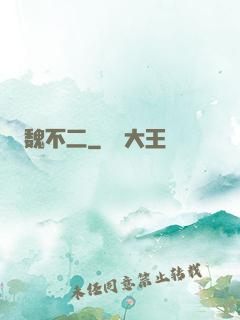 魏不二