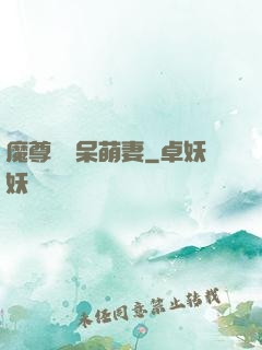 魔尊誘寵呆萌妻