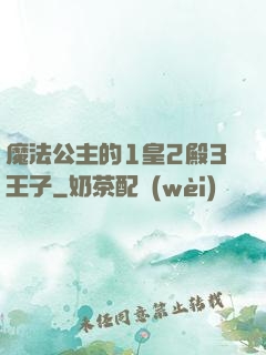 魔法公主的1皇2殿3王子