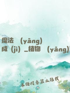 魔法師養(yǎng)成計(jì)劃