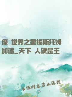 魔獸世界之重振斯托姆加德