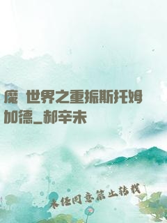 魔獸世界之重振斯托姆加德