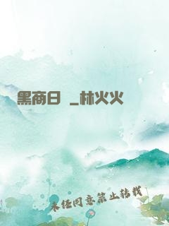 黑商日記