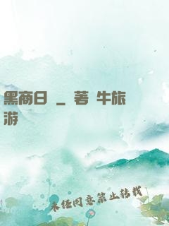 黑商日記