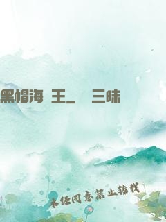 黑帽海賊王