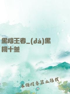 黑暗王者