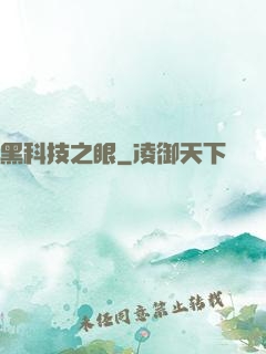 黑科技之眼
