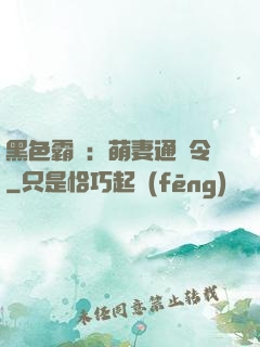 黑色霸寵：萌妻通緝令