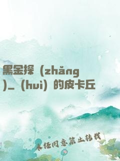 黑金探長(zhǎng)