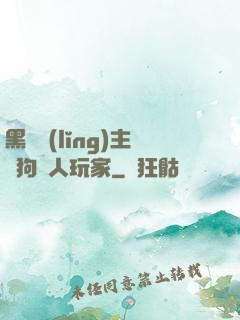 黑龍領(lǐng)主與狗頭人玩家