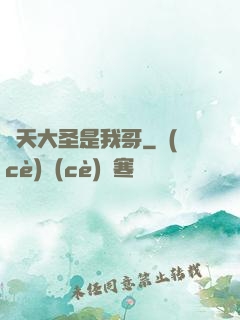齊天大圣是我哥