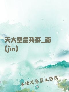 齊天大圣是我哥