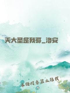 齊天大圣是我哥