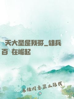 齊天大圣是我哥
