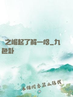 龍之崛起了解一哈