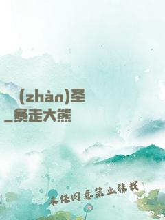 龍戰(zhàn)圣靈