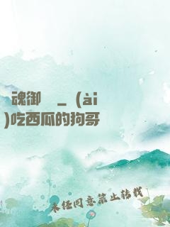 龍魂御靈訣